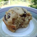 Peanut Butter Chocolate Chip Muffins