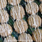 Iced Oatmeal Cake Cookies-A soft cake like cookie drizzled with a sweet icing