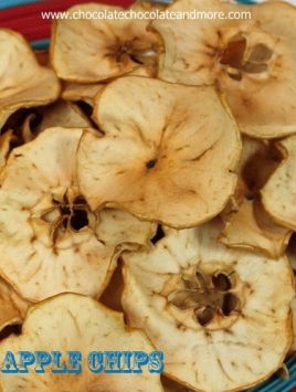 Spiced Apple Chips-the perfect snack for any time of day!