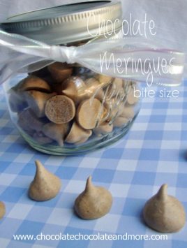 Chocolate Meringues-made with egg whites, these are naturally low fat, make them bite sized and they become candy!