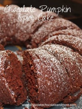 Chocolate Pumpkin Spice Cake 0311