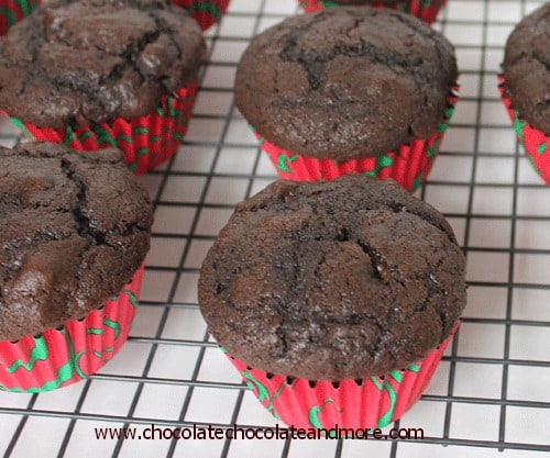 The Ultimate Chocolate Chocolate Chip Muffins-perfect with your morning coffee or as an afternoon snack.