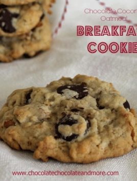 Chocolate Coconut Oatmeal Breakfast Cookies with Peanut Butter and pecans-the perfect way to start off your day!