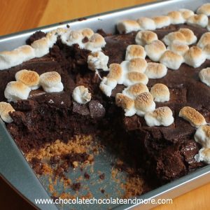 Smores Brownie Cake-graham cracker crust, chocolatey cake and topped with toasted marshmallows.