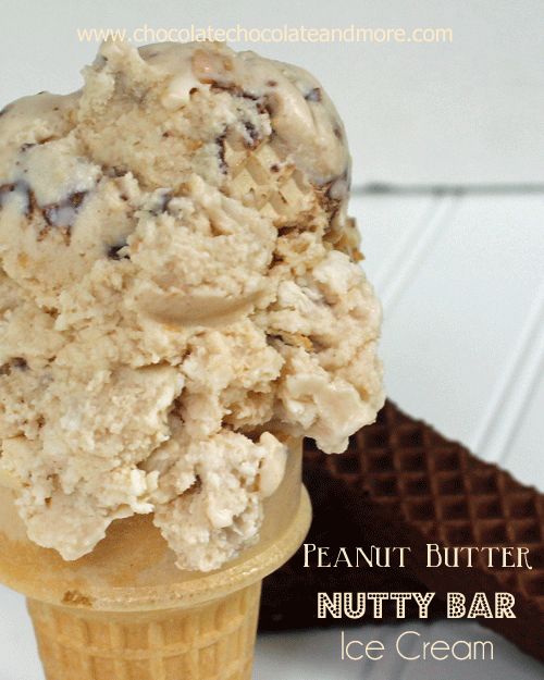  Peanut Butter Nutty Bar Ice Cream