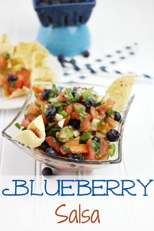 Blueberry Salsa from Plaid and Paisley Kitchen featured at Thursday's Treasures