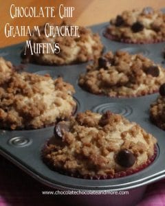 Chocolate Chip Graham Cracker Muffins, so good you'll think you're eating a cookie for breakfast!