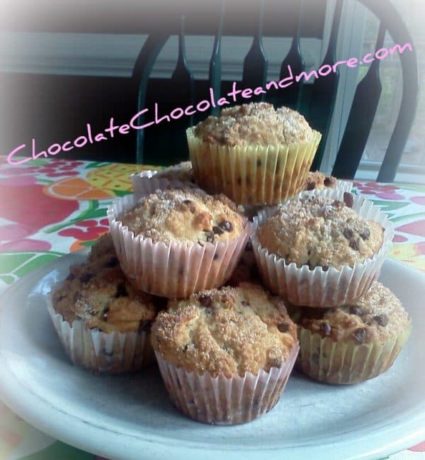 Chocolate Chip Muffins