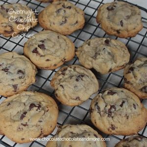 Overnight Chocolate Chip Cookies-letting the dough age does make a difference!