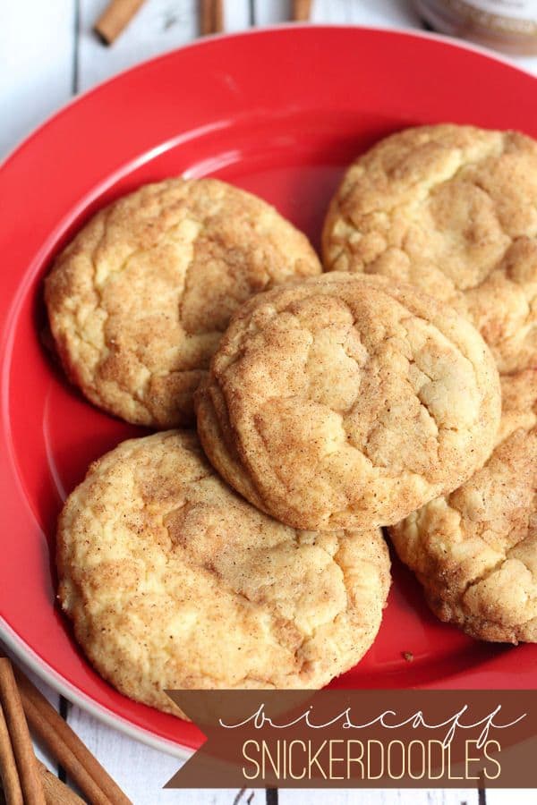 Biscoff Snickerdoodles-50 Cookie Recipes to Fill Your Cookie Jar | www.chocolatechocolateandmore.com