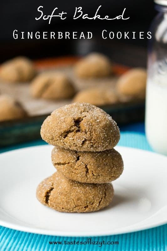 Soft Baked Gingerbread Cookies-50 Cookie Recipes to Fill Your Cookie Jar | www.chocolatechocolateandmore.com