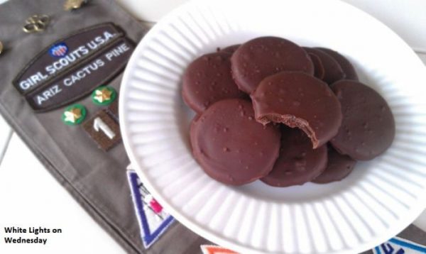Copycat Thin Mints-50 Cookie Recipes to Fill Your Cookie Jar | www.chocolatechocolateandmore.com