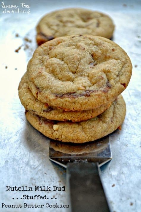 Nutella Milk Dud Stuffed Peanut Butter Cookies-50 Cookie Recipes to Fill Your Cookie Jar | www.chocolatechocolateandmore.com