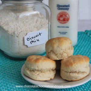 Homemade Biscuit Mix-you never have to buy the box stuff again!