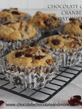 Chocolate Chip Cranberry Muffins-Bittersweet chocolate and tart Cranberries make for a tasty muffin!