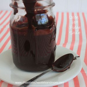 Cocoa Hot Fudge Sauce-just simple ingredients make this family favorite topping.