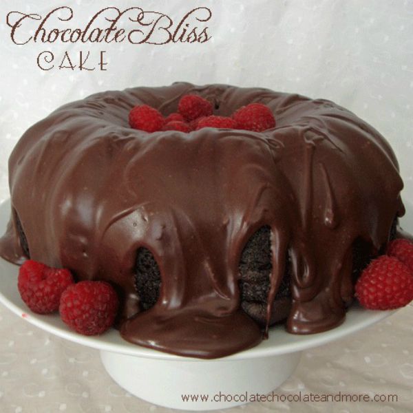Chocolate Bliss Cake by chocolatechocolateandmore.com