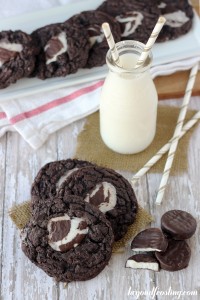 I couldn't think of a better way to enjoy a peppermint patty! These soft baked Melted Peppermint Patty Cookies are drool worthy!