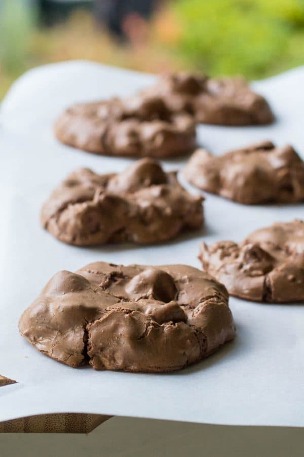 What's better than a chocolate chip cookie? A chocolate chocolate chip cookie. These are pretty much brownies in cookie form, and they are now my new favorites.