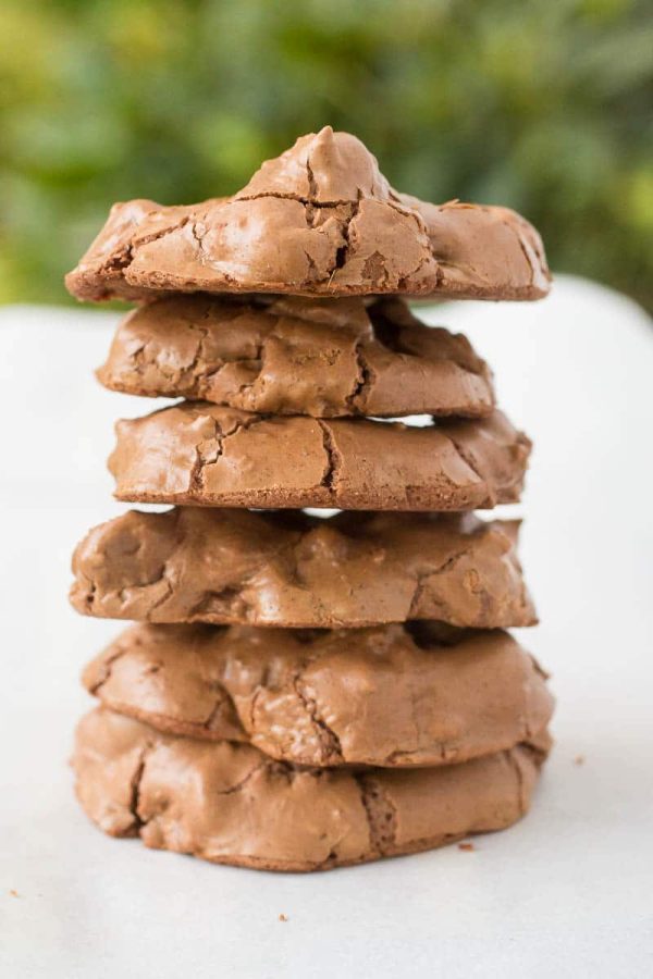 What's better than a chocolate chip cookie? A chocolate chocolate chip cookie. These are pretty much brownies in cookie form, and they are now my new favorites.