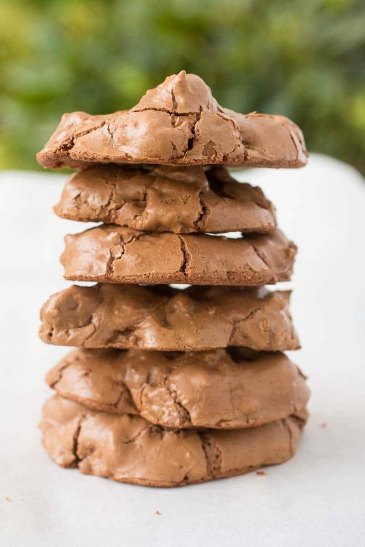 Chocolate Chocolate Chip Cookies