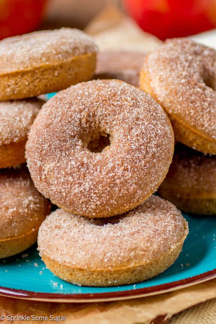 Apple Cider Donuts - Chocolate Chocolate and More!