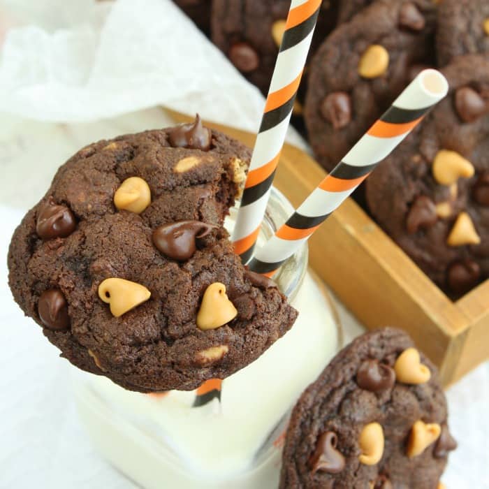 Craving chocolate chip cookies? Try these soft and chewy peanut butter chocolate chip cookies! They come together in less than 30 minutes! 