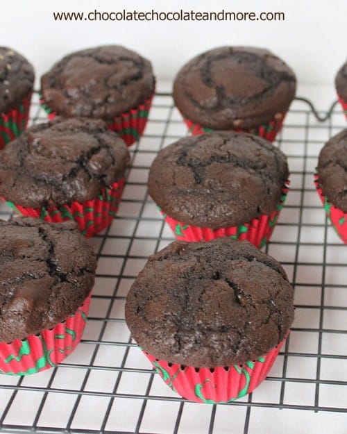Ultimate Chocolate Chocolate Chip Muffins