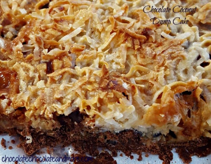 Chocolate Coconut Dump Cake