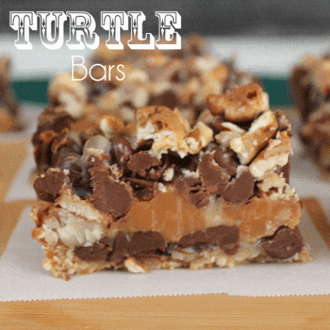 Magic Turtle Bars-image
