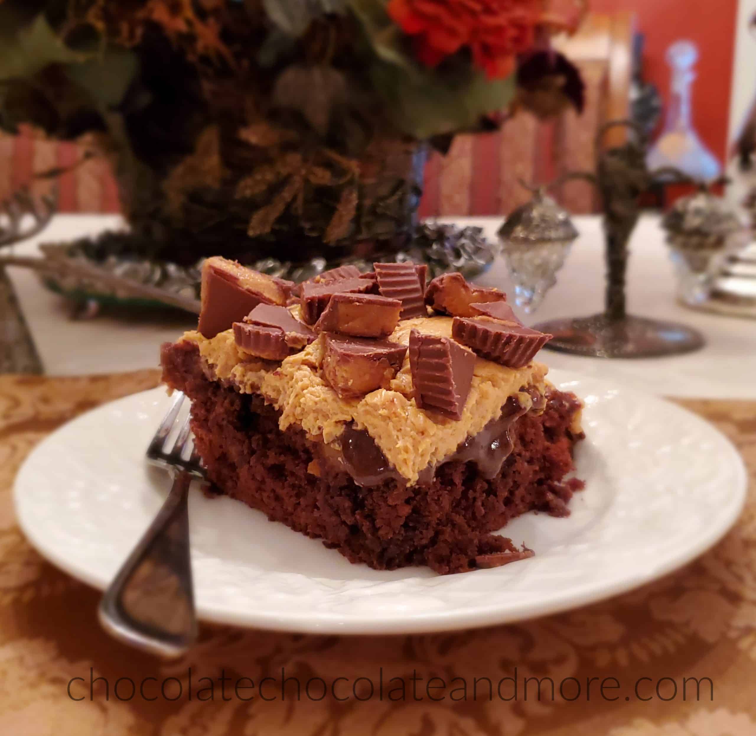 Chocolate Peanut Butter Cup Cake {Peanut Butter Chocolate Heaven}