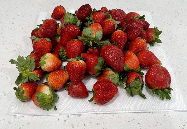 A pile of washed strawberries sitting on a paper towel.