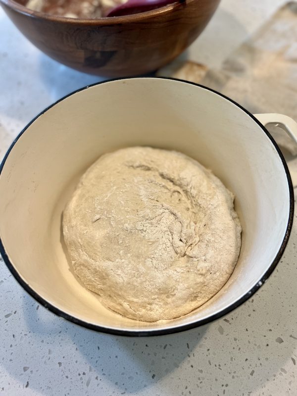 dough ball sitting in a dutch oven