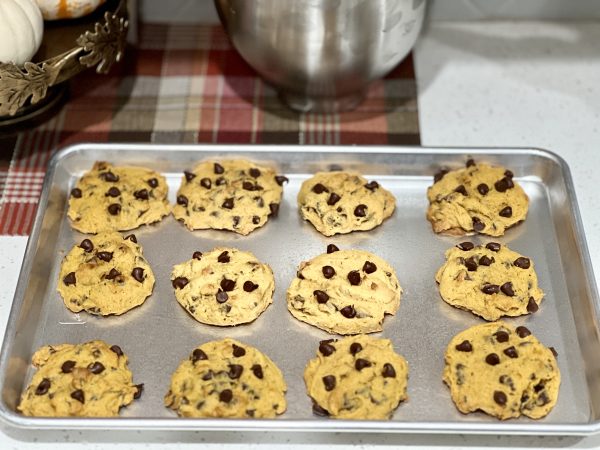 Soft Pumpkin Chocolate Chip Cookies after being baked on a cookie sheet