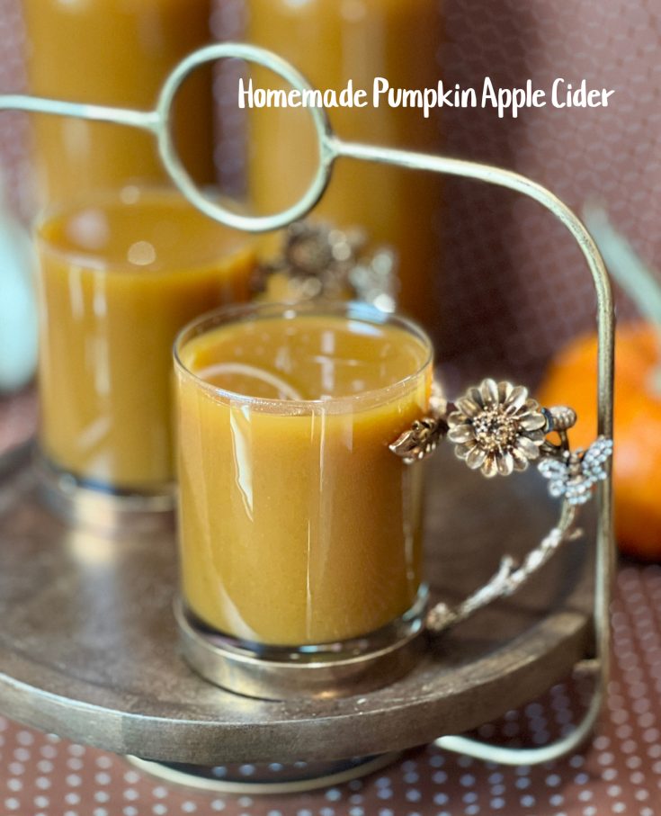 Homemade Pumpkin Apple Cider
