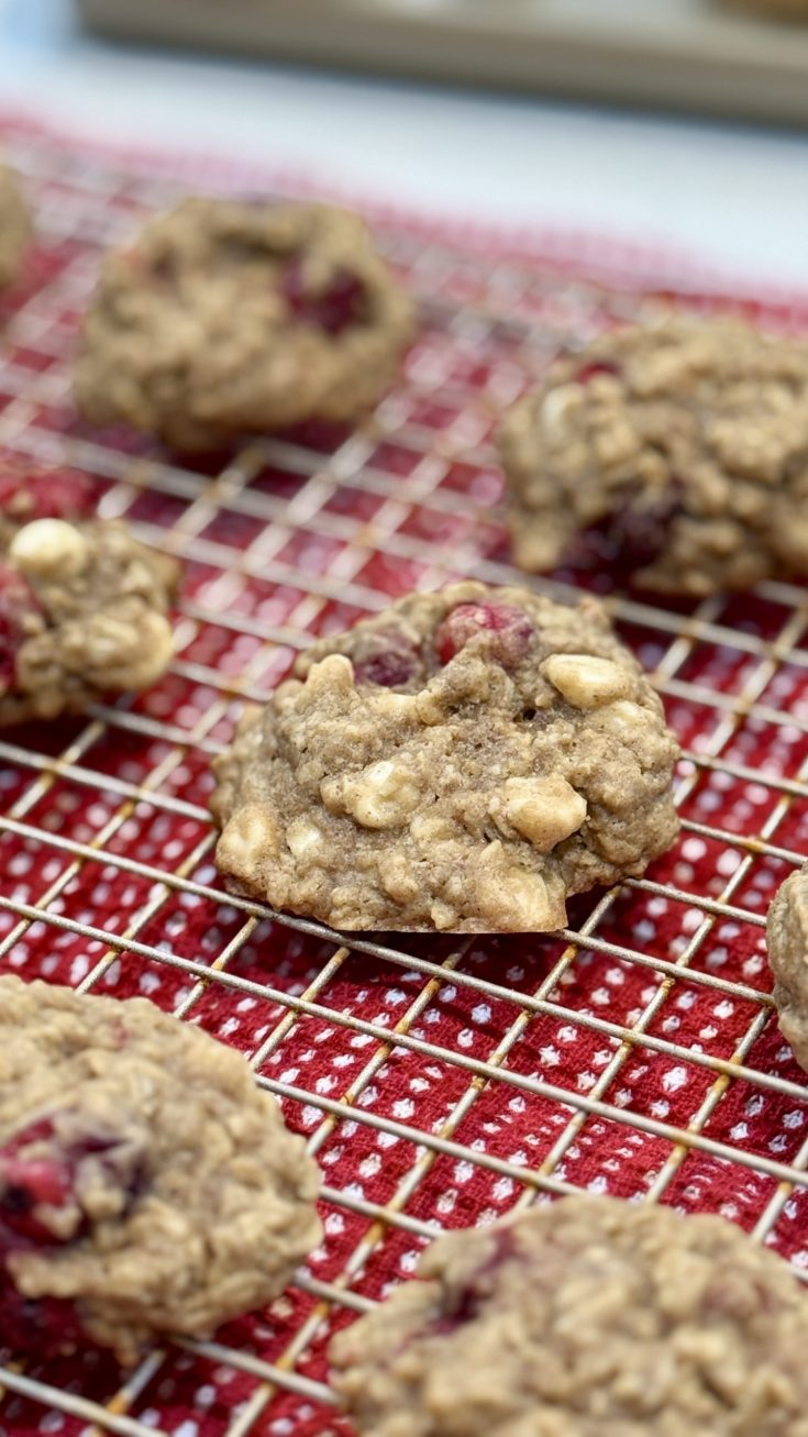Cranberry White Chocolate Oatmeal Cookies