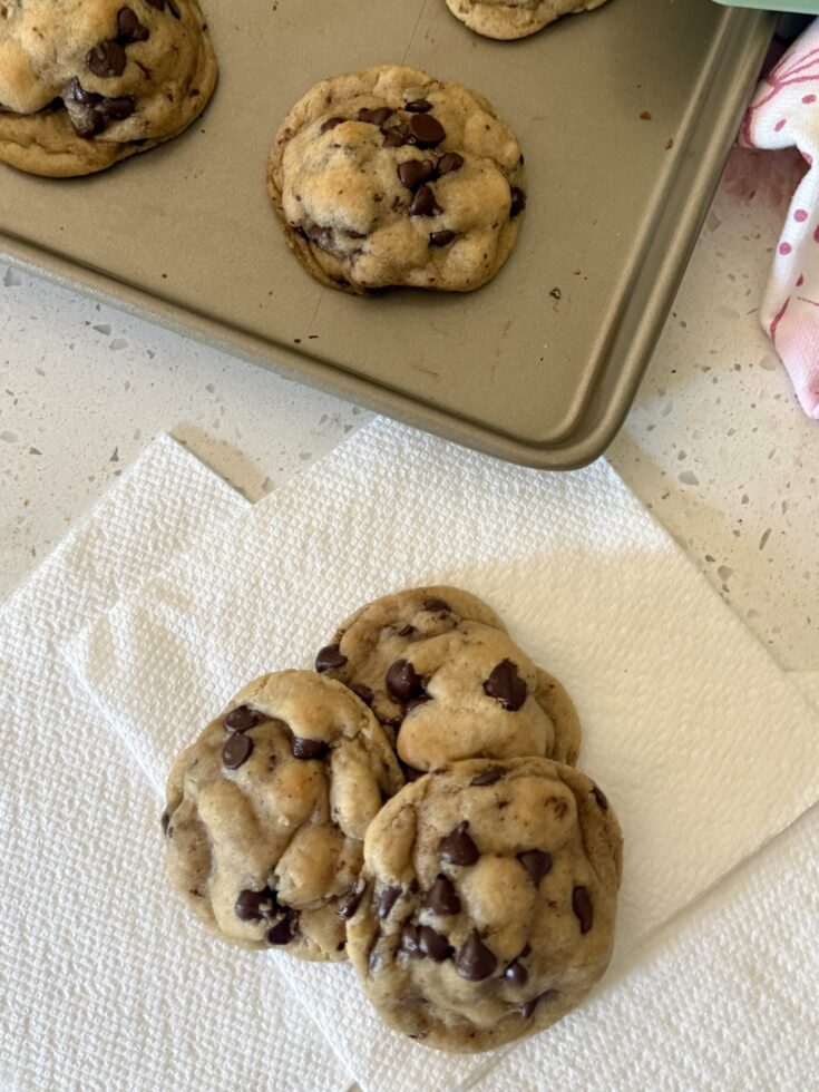 Leftover Eggyolk Chocolate Chip Cookies